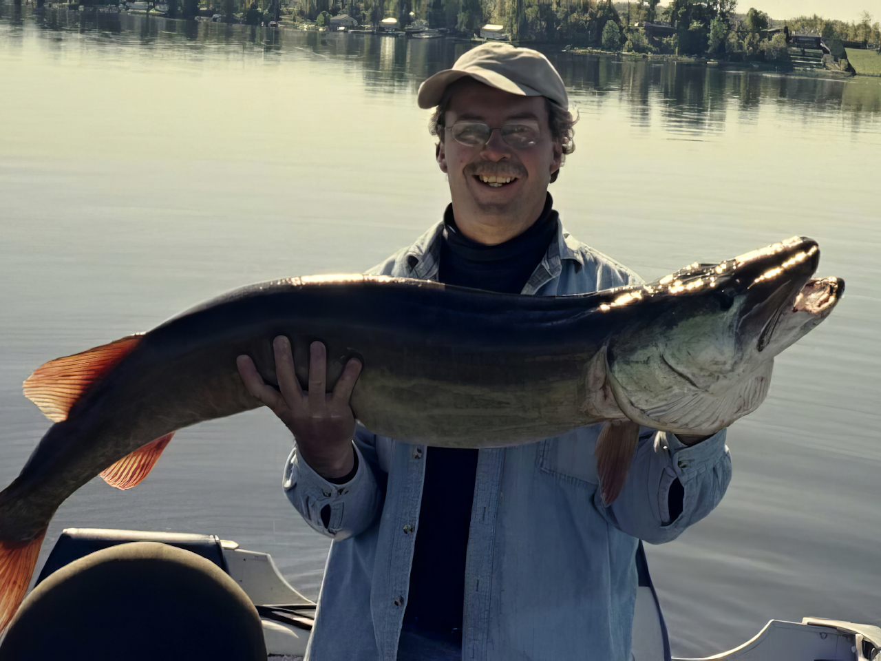 Ottawa River Musky