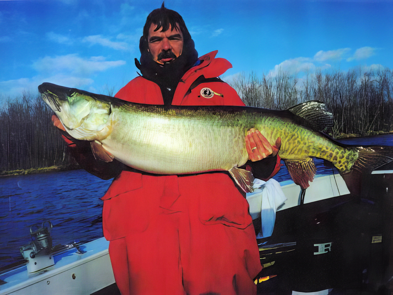 Huge musky