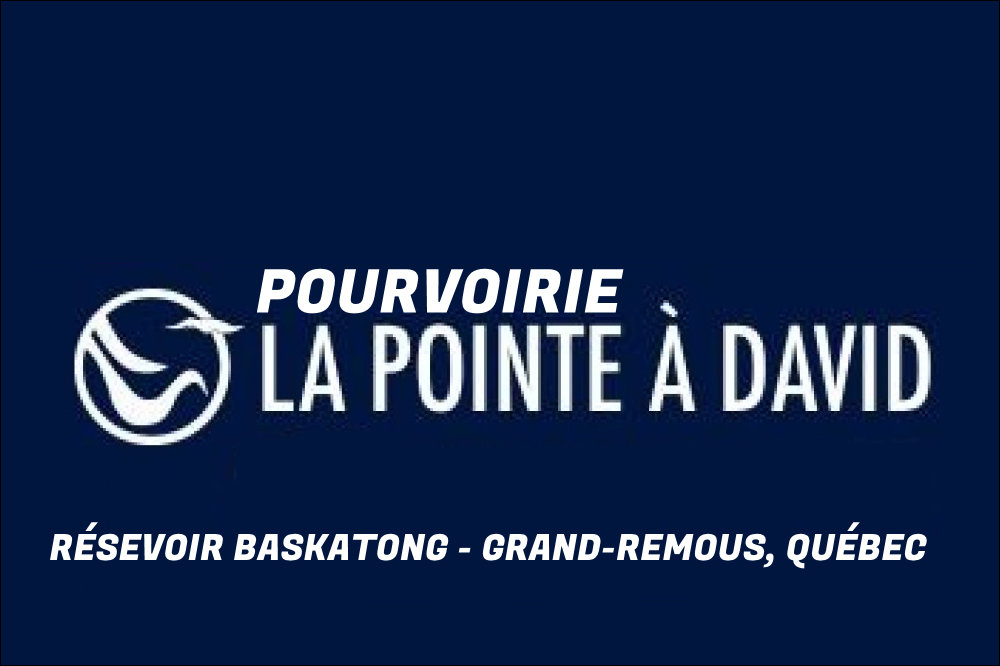 Pourvoirie La-Pointe-a-David